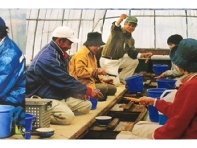 諏訪湖旅館