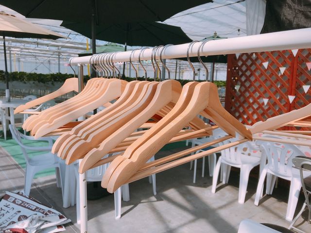 ハウス内は暑いので上着はかけてお楽しみください♪_ベリーズファーム FUSHIMI