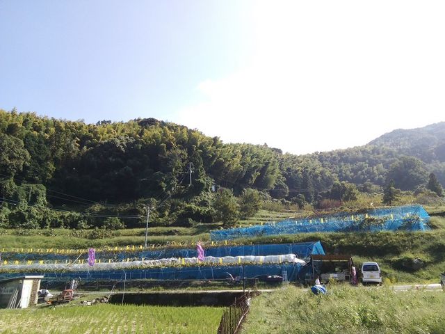 国道から見た景色_みらいガーデンファーム