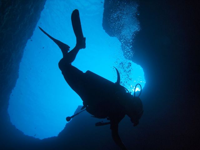 我侭潜水・DIVE110