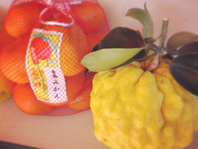 鬼ゆず(ししゆず)_泰山園