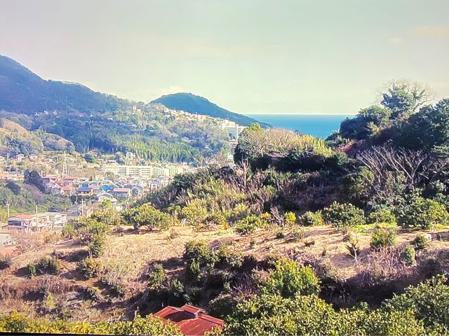 頂上の畑は、晴れていると 海も観えて癒されます。_泰山園