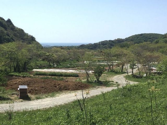 パラダイスフィールド「森と畑の学校」