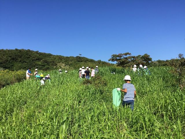 パラダイスフィールド「森と畑の学校」