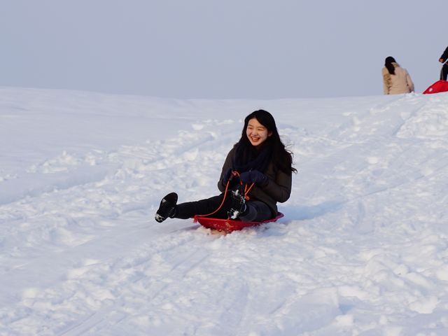雪国ワンダーランド