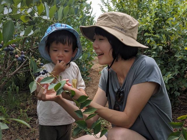 安曇野の丘 村山ブルーベリー園