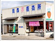 飯森苺農園の写真4