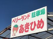 ベリーランドあきひめの写真2