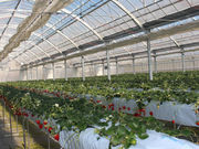 はあと農園の写真3