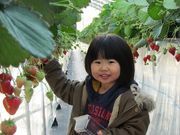 観光農園うめかのお庭の写真3