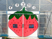 コンドウ農園の写真4