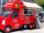 亀の子いちご園の写真2