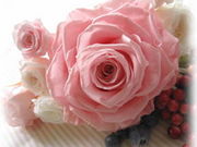 花のアトリエ Chocolat neigeの写真4