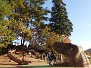 かつやま恐竜の森の写真2