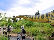 かつやま恐竜の森の写真4