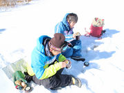 浅間牧場スノーパラダイスアスパラの写真2