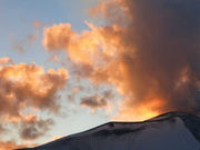 浅間牧場スノーパラダイスアスパラの写真3
