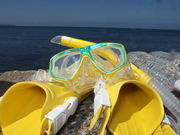 DivingSchoolテールアップの写真3