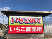 金山ベリーファームの写真2