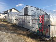 金山ベリーファームの写真4