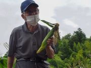 コーンファミリー上田牧場の写真3