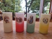 庭カフェの写真4