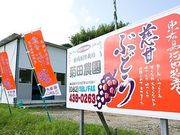 菊田農園の写真3