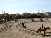 乗馬クラブクレイン大阪の写真3