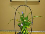 浪坂茶道.茶花教室の写真2