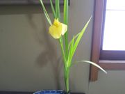 浪坂茶道.茶花教室の写真3