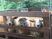 さとうみファームの写真2