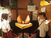 桃太郎のからくり博物館の写真4