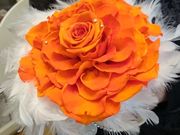 flower menuet(千葉)の写真4