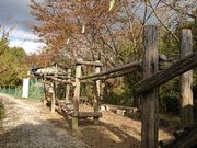 ムラタケ観光農園の写真2