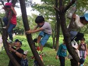 寺子屋つながリンクの写真2