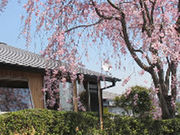 クリスチィーナ・マールの陶芸教室の写真2