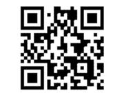 ランプ工房 sifaの写真4