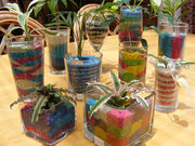 下賀茂熱帯植物園の写真2