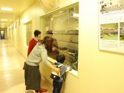 蒲鉾本舗 政 女川本店 万石の里の写真4