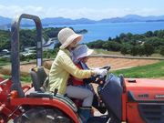 有限会社有田園芸農場の写真2