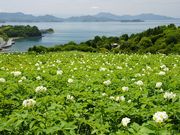 有限会社有田園芸農場の写真4