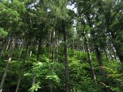 特定非営利活動法人時ノ寿の森クラブの写真2