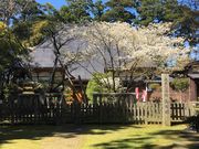 SADO三四郎ガイドの写真2