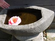 SADO三四郎ガイドの写真3