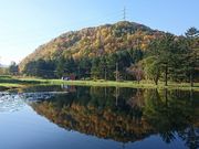 AKAIGAWA TOMO PLAYPARKの写真4