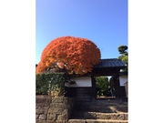 むらさき堂の写真2