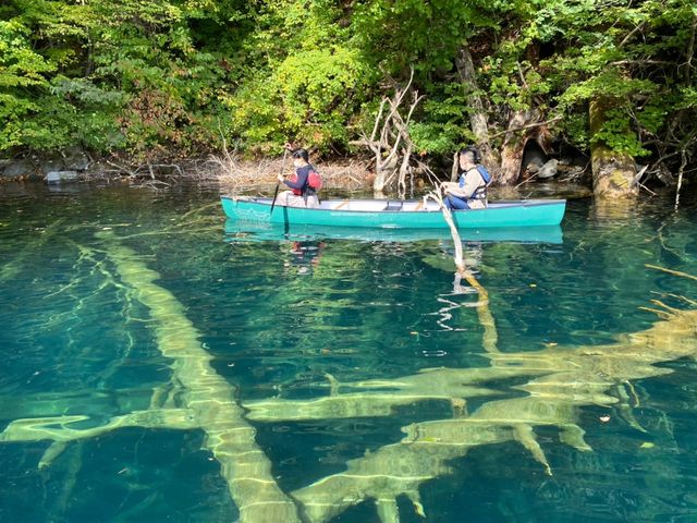 どなたでも本格的なアドベンチャーカヌーを楽しめます。_十和田湖カヌーセンター