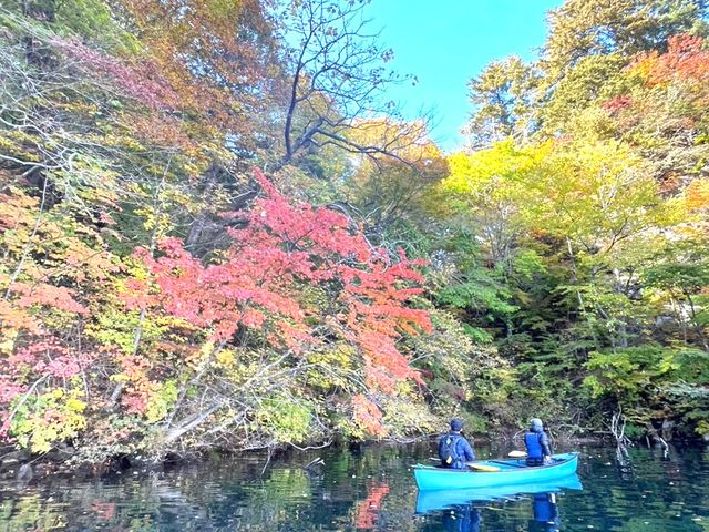 秋は紅葉も素晴らしいです。_十和田湖カヌーセンター