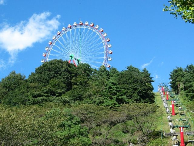 さがみ湖プレジャーフォレスト