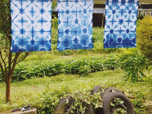手ぬぐいの藍染体験(冬季休止中)_古民家 でぇのうち
